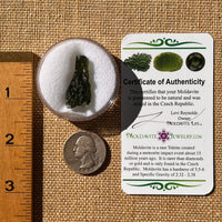 Moldavite 3.5 grams #2213-Moldavite Life