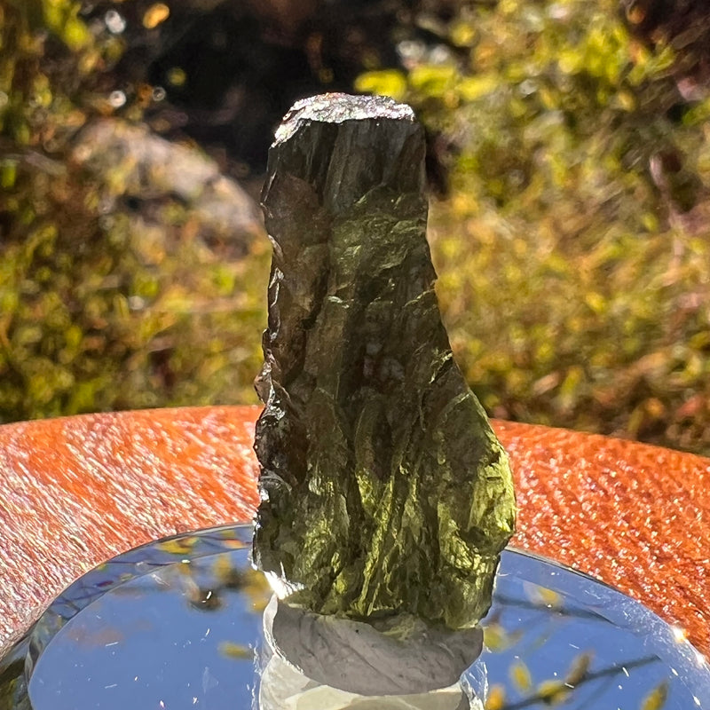 Moldavite 3.5 grams #2213-Moldavite Life