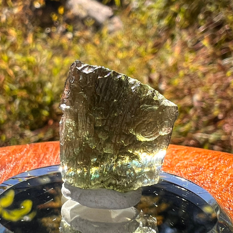 Moldavite 3.5 grams #2313-Moldavite Life
