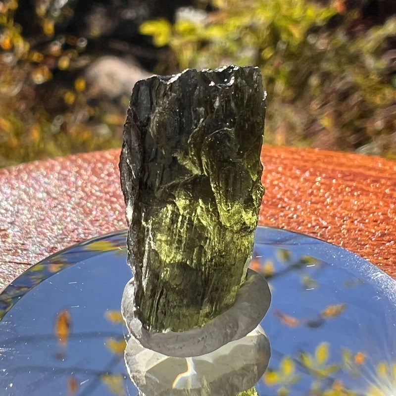 Moldavite 3.5 grams #2313-Moldavite Life