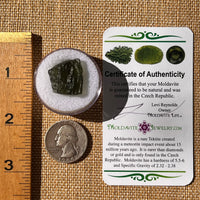 Moldavite 3.5 grams #2313-Moldavite Life
