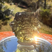 Moldavite 3.5 grams #2370-Moldavite Life