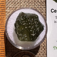 Moldavite 3.5 grams #2370-Moldavite Life
