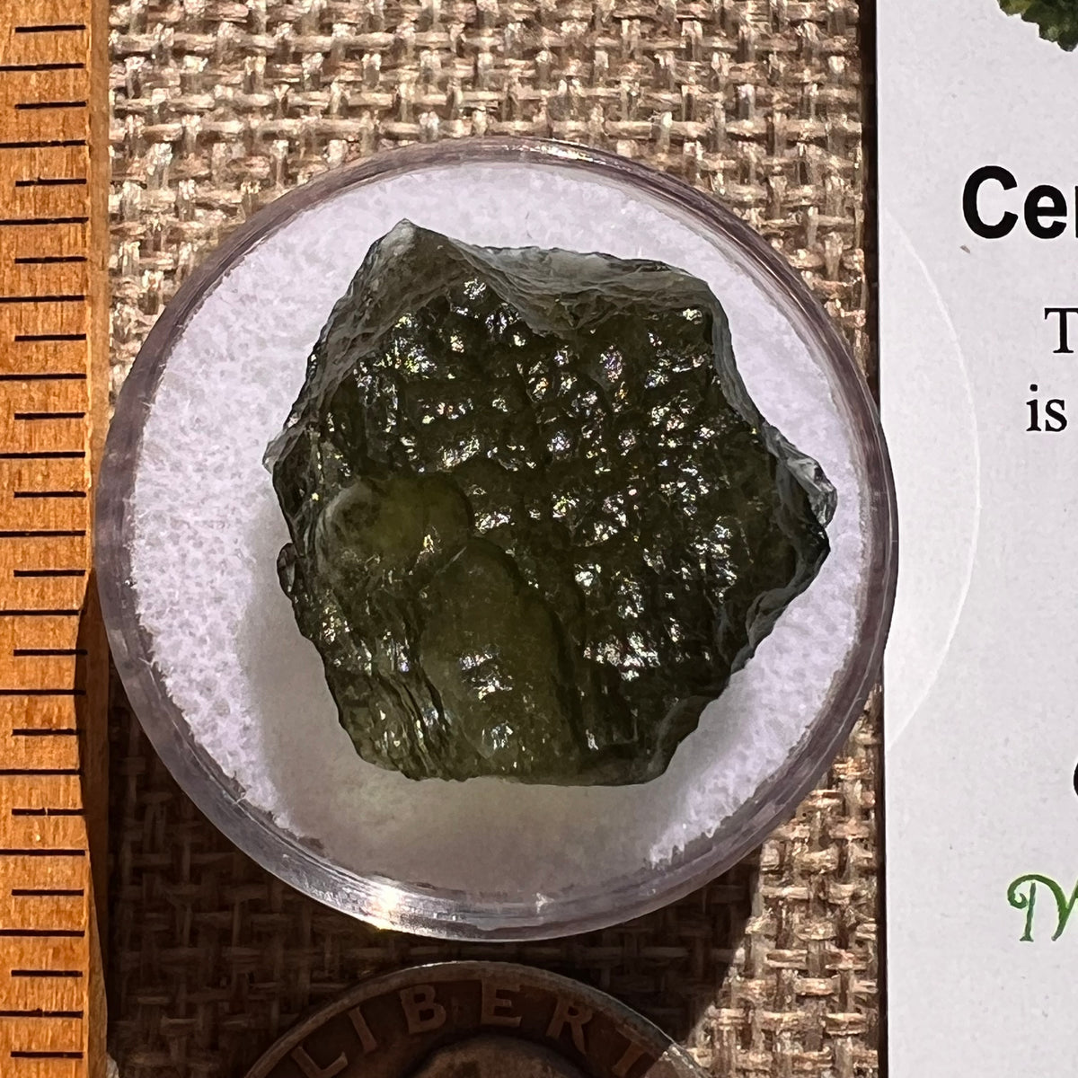 Moldavite 3.5 grams #2370-Moldavite Life