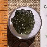 Moldavite 3.5 grams #2370-Moldavite Life