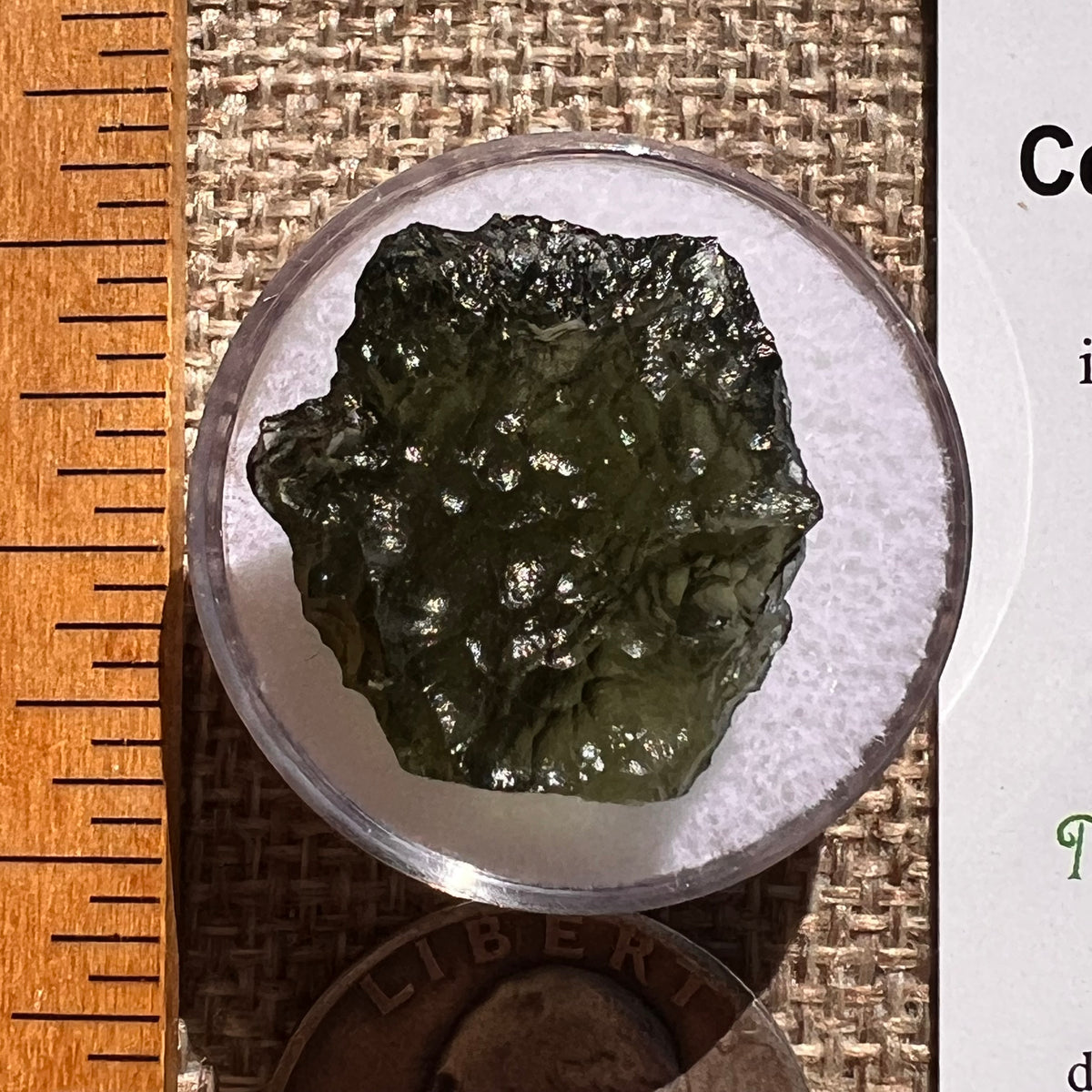 Moldavite 3.5 grams #2370-Moldavite Life