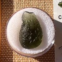 Moldavite 3.6 grams #2205-Moldavite Life