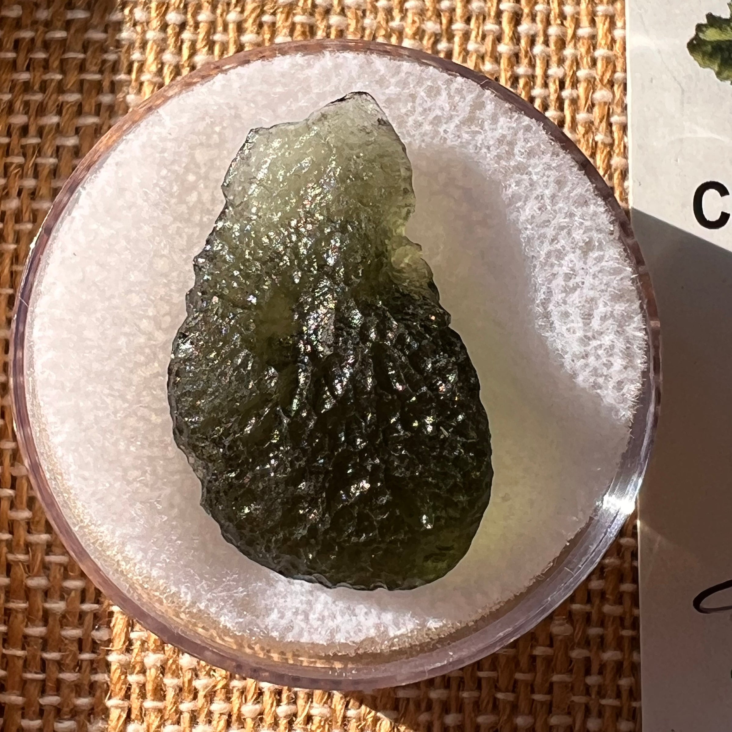 Moldavite 3.6 grams #2205-Moldavite Life