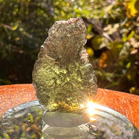 Moldavite 3.6 grams #2205-Moldavite Life