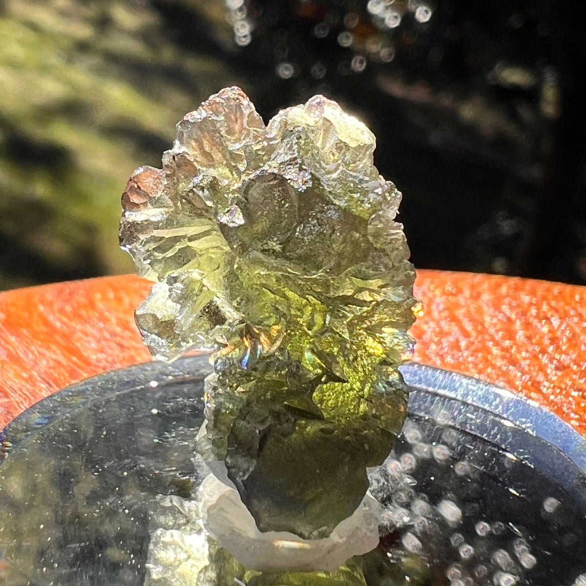 Moldavite 3.6 grams #2389-Moldavite Life