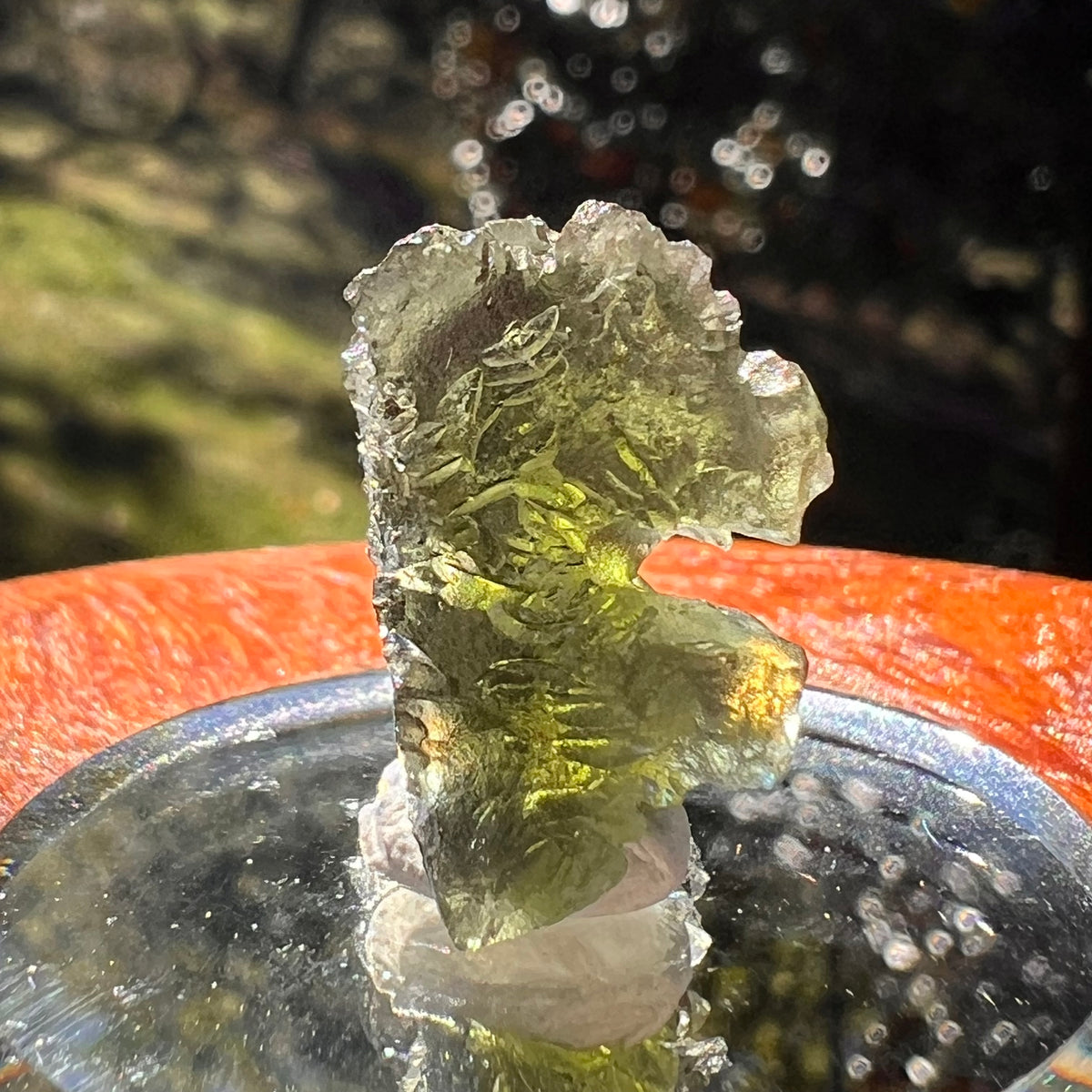 Moldavite 3.6 grams #2389-Moldavite Life