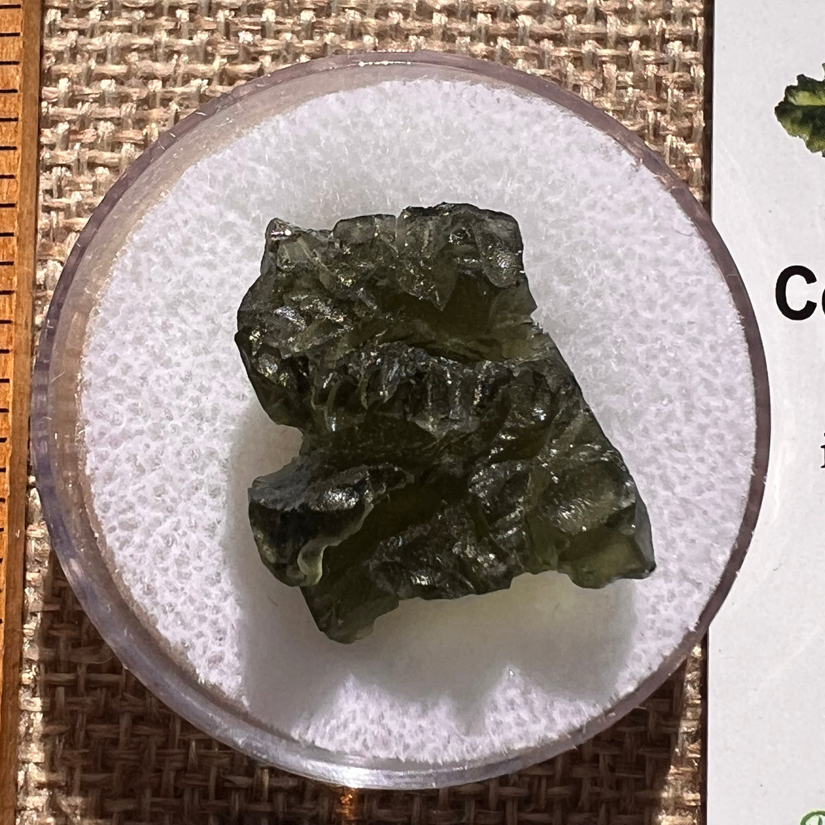 Moldavite 3.6 grams #2389-Moldavite Life