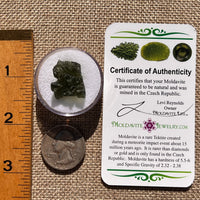 Moldavite 3.6 grams #2389-Moldavite Life