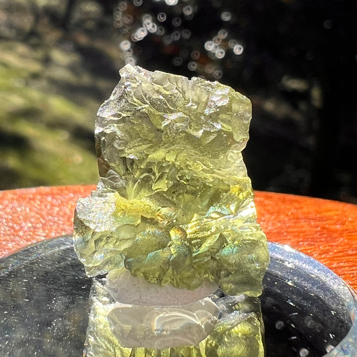 Moldavite 3.6 grams #2389-Moldavite Life