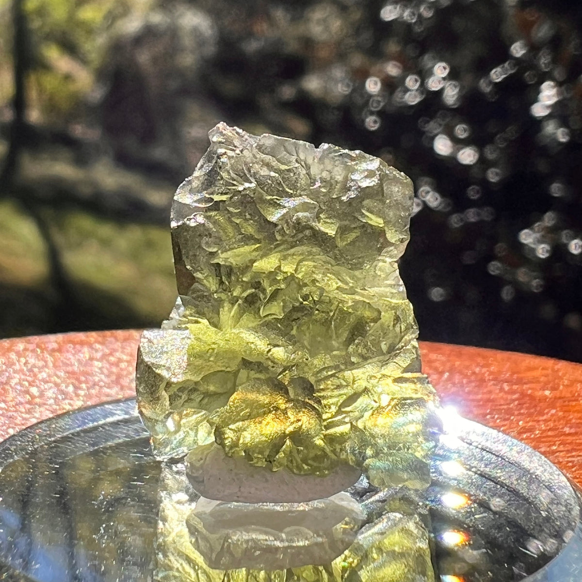 Moldavite 3.6 grams #2389-Moldavite Life
