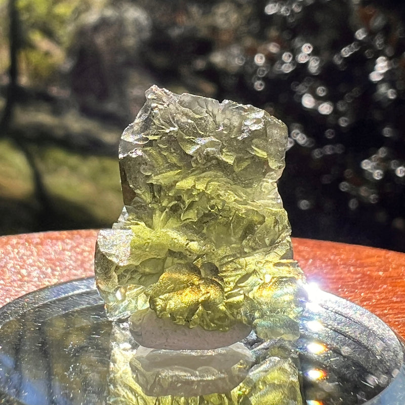 Moldavite 3.6 grams #2389-Moldavite Life