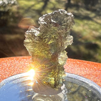 Moldavite 3.6 grams #2391-Moldavite Life