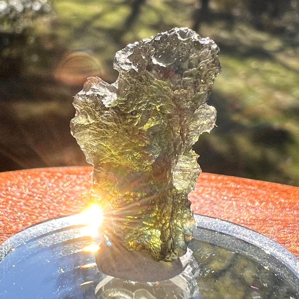 Moldavite 3.6 grams #2391-Moldavite Life