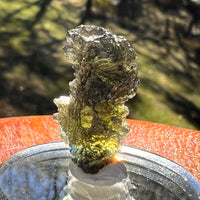 Moldavite 3.6 grams #2391-Moldavite Life