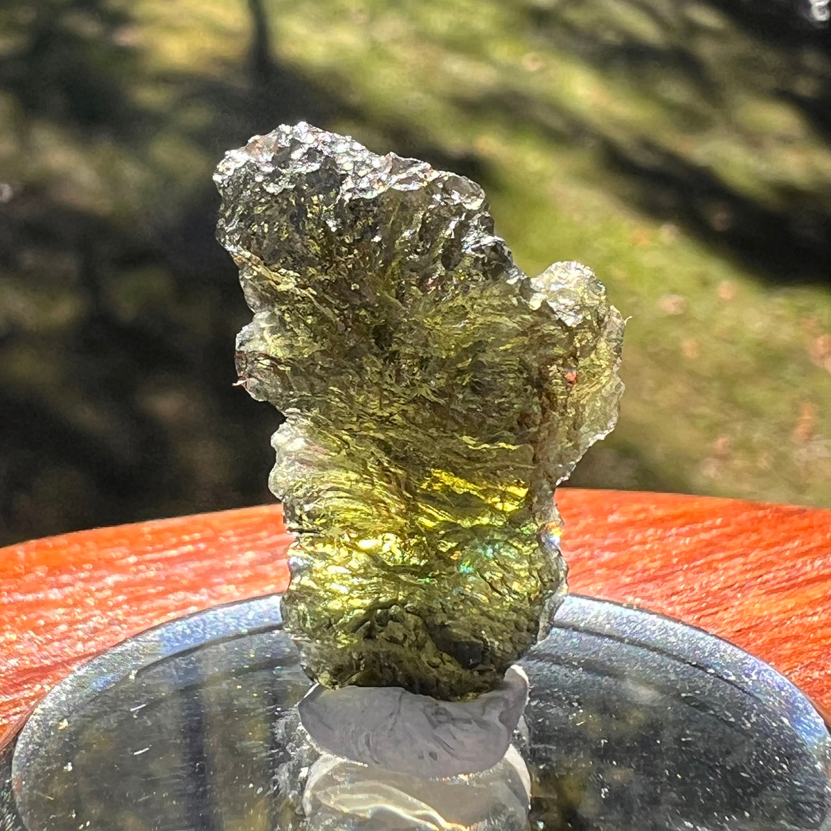 Moldavite 3.6 grams #2391-Moldavite Life
