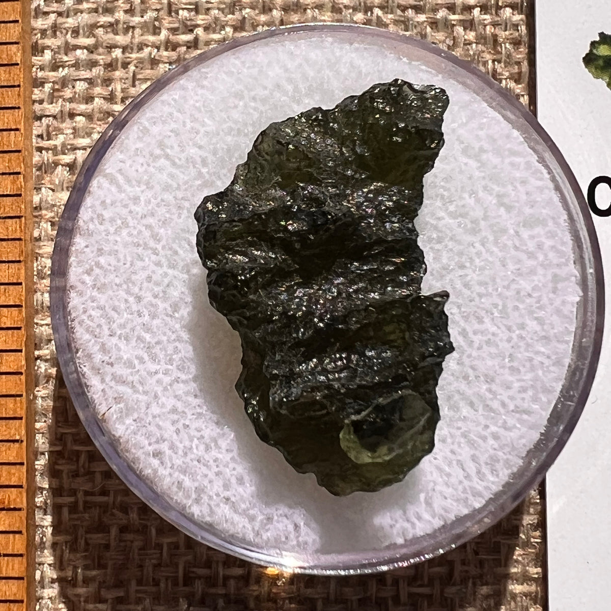 Moldavite 3.6 grams #2391-Moldavite Life