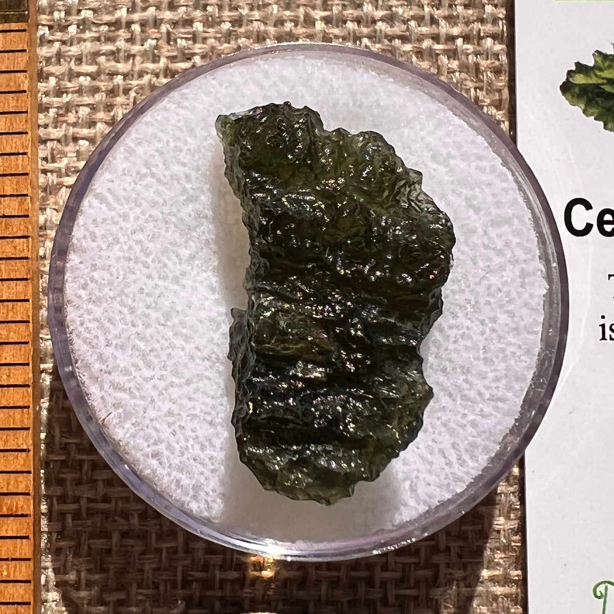 Moldavite 3.6 grams #2391-Moldavite Life