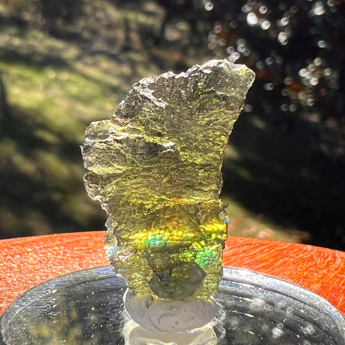 Moldavite 3.6 grams #2391-Moldavite Life