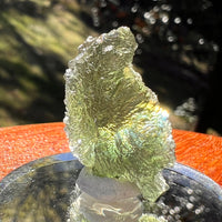 Moldavite 3.6 grams #2398-Moldavite Life