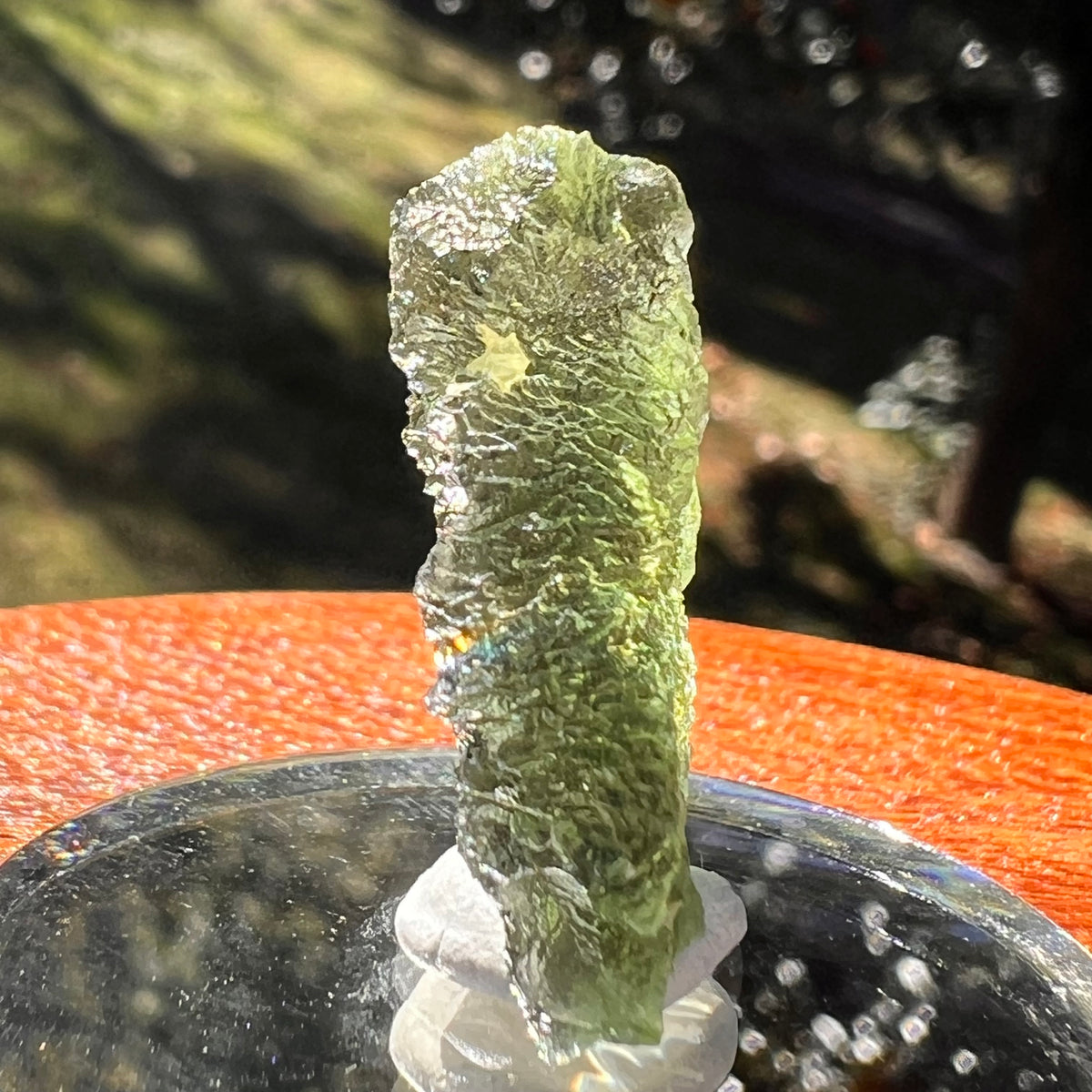 Moldavite 3.6 grams #2398-Moldavite Life