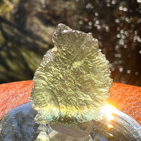 Moldavite 3.6 grams #2398-Moldavite Life