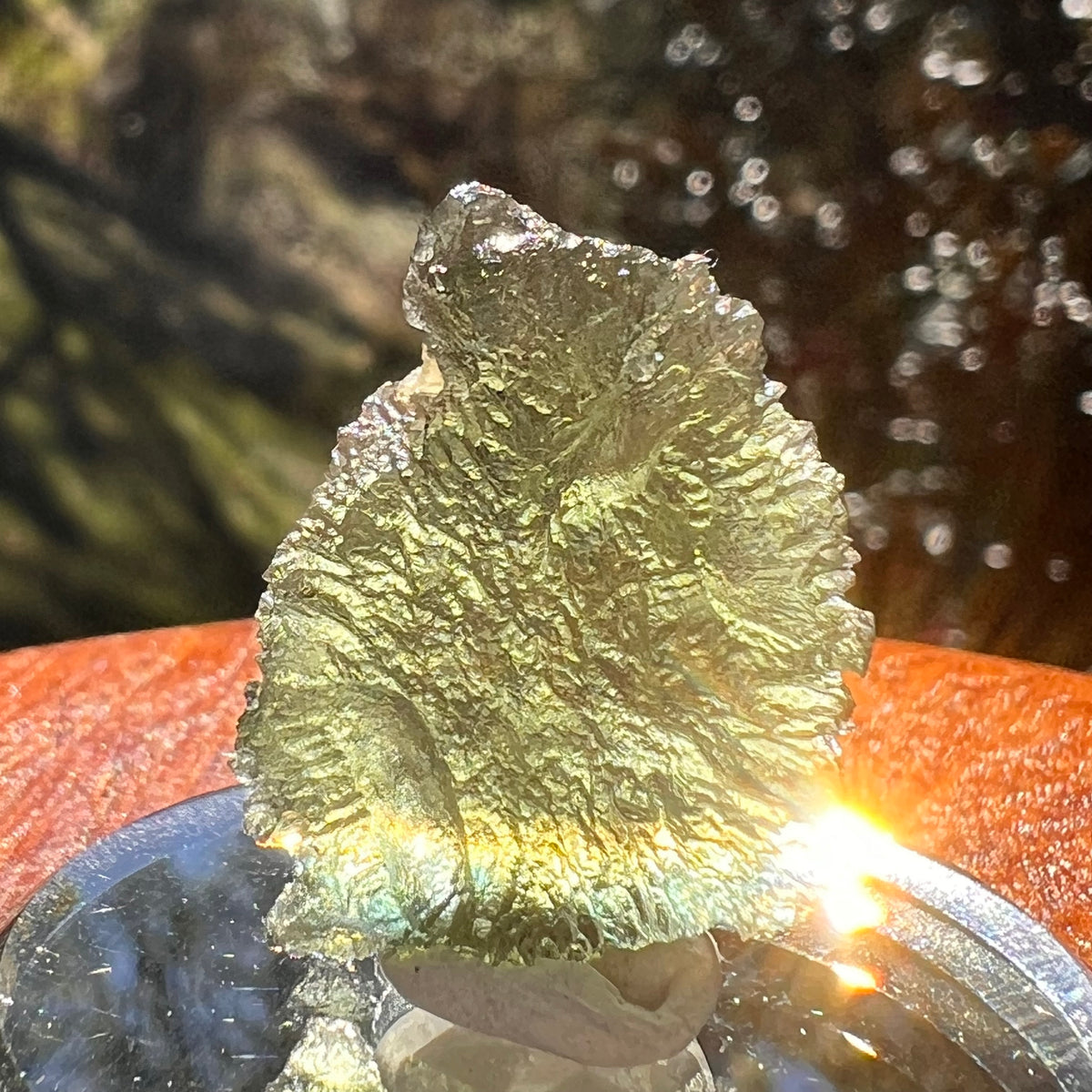Moldavite 3.6 grams #2398-Moldavite Life