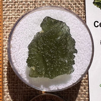 Moldavite 3.6 grams #2398-Moldavite Life