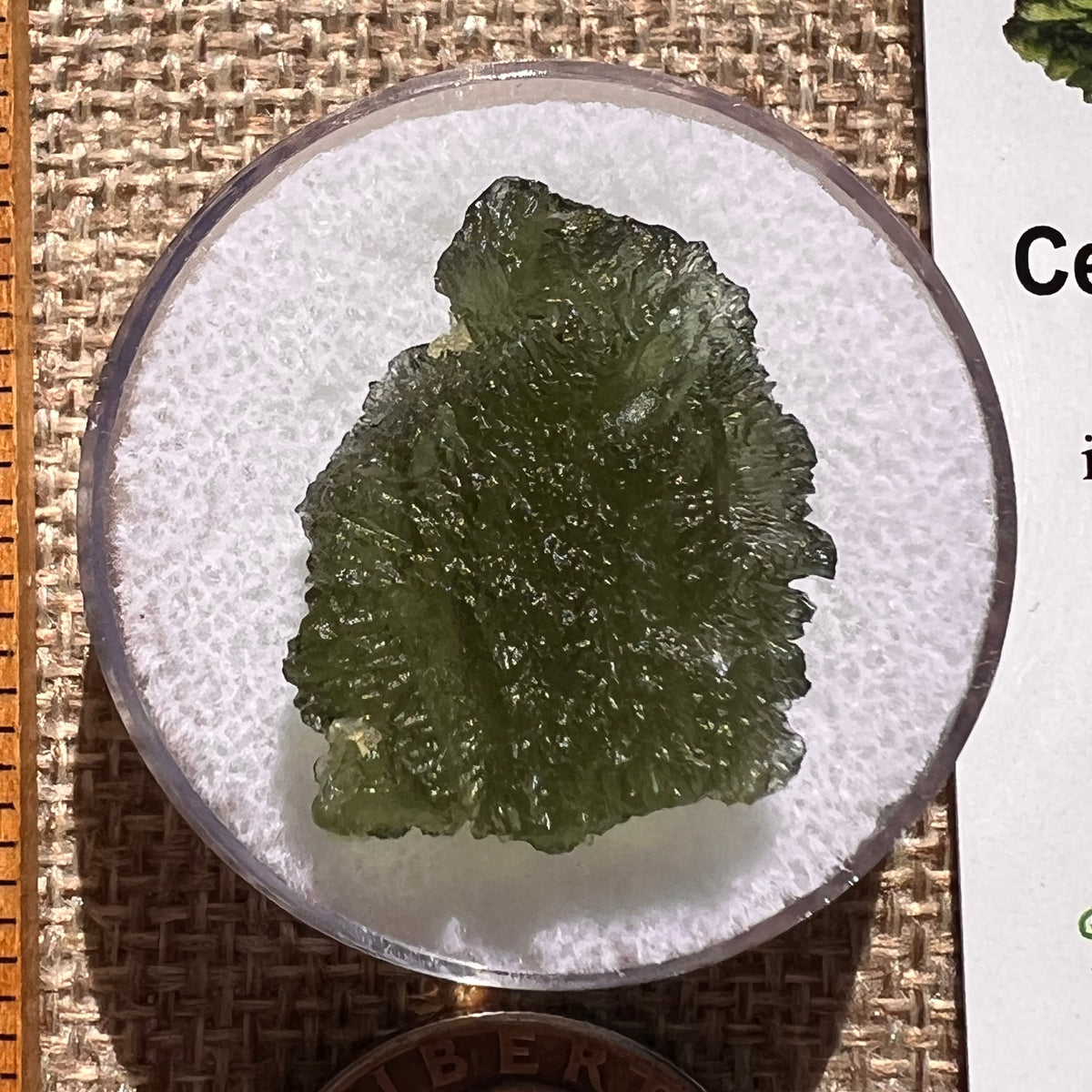 Moldavite 3.6 grams #2398-Moldavite Life