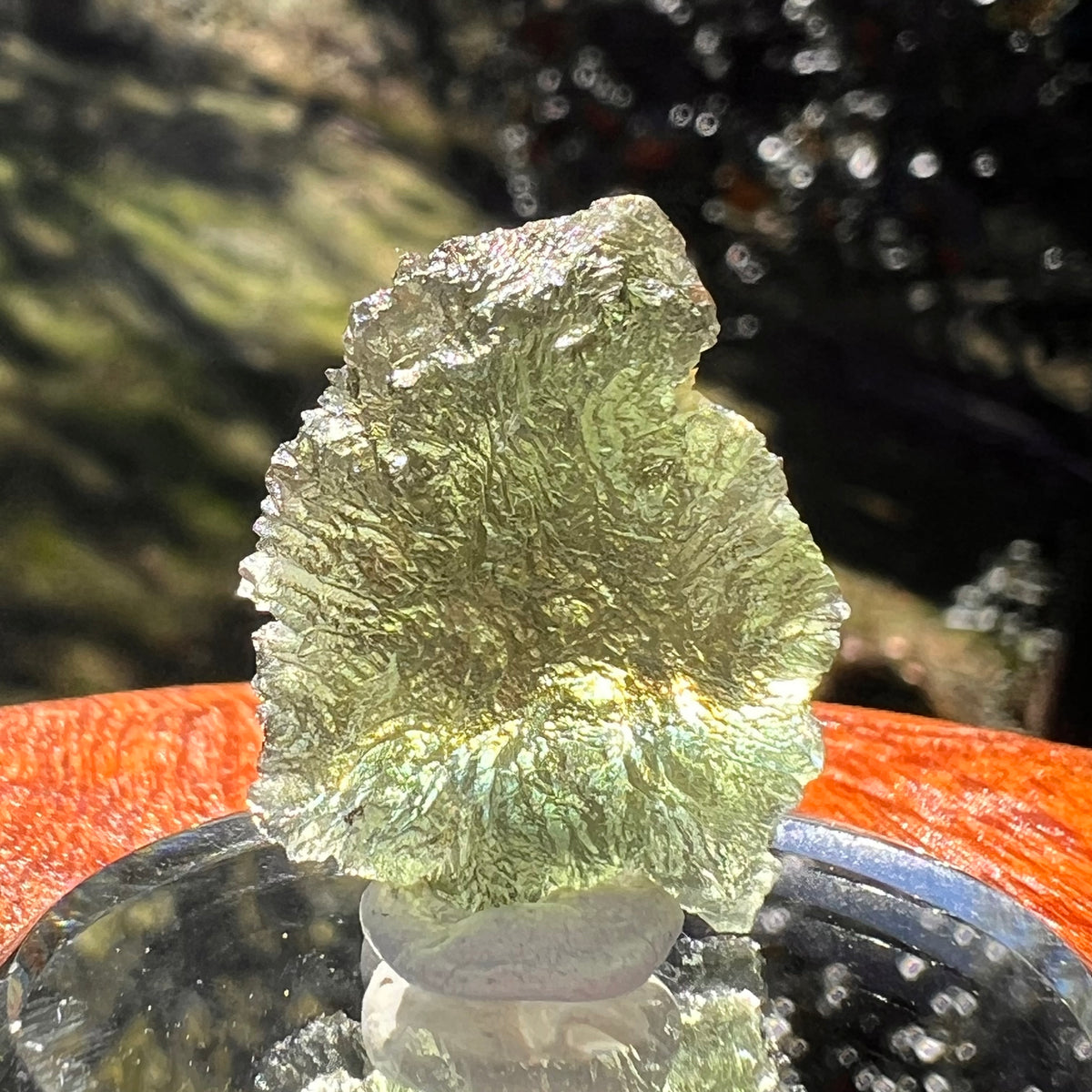 Moldavite 3.6 grams #2398-Moldavite Life