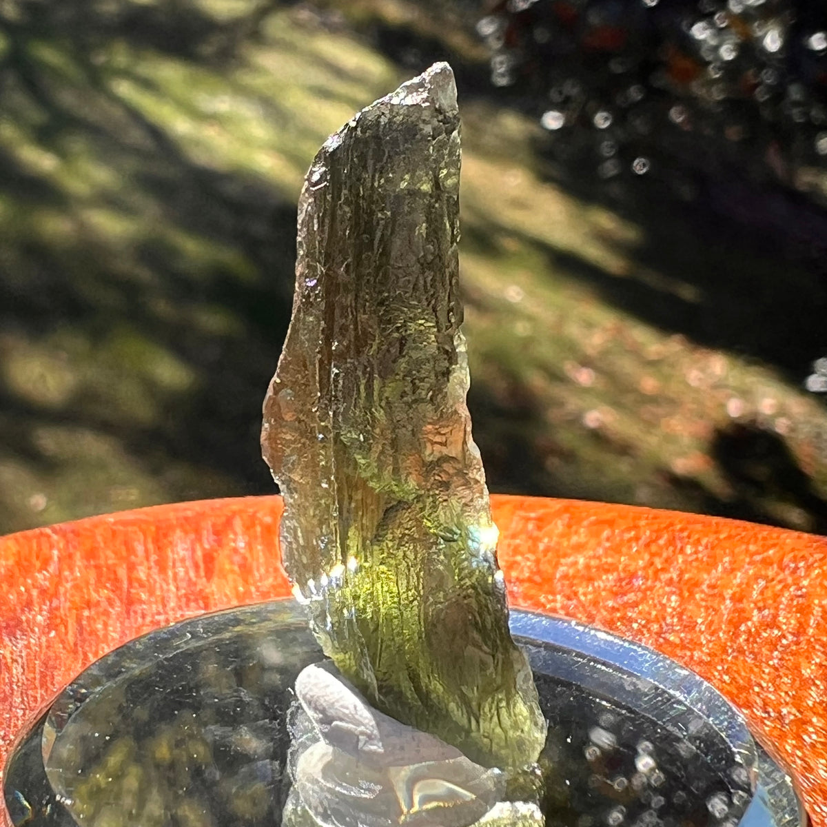 Moldavite 3.6 grams #2400-Moldavite Life