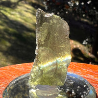 Moldavite 3.6 grams #2400-Moldavite Life