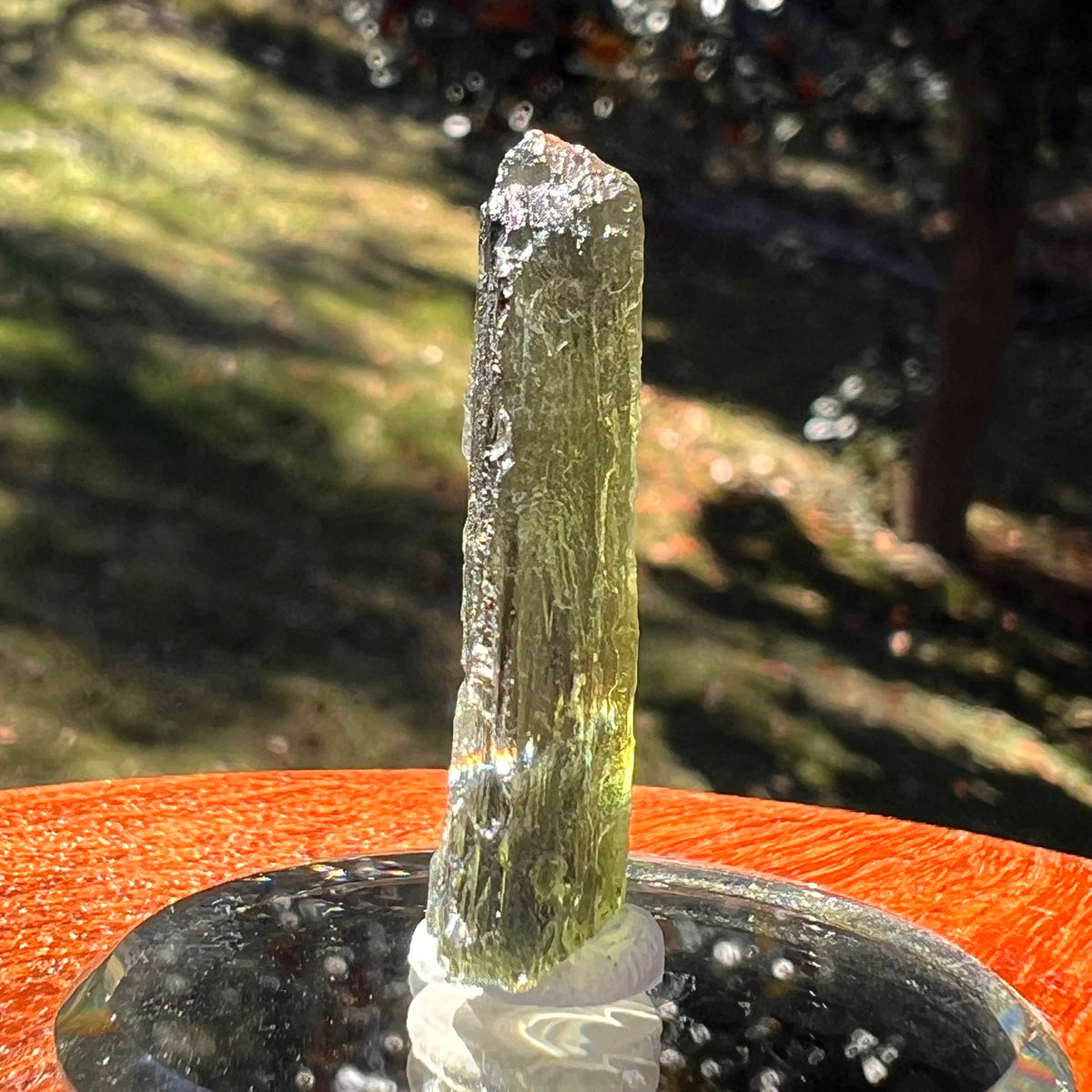 Moldavite 3.6 grams #2400-Moldavite Life