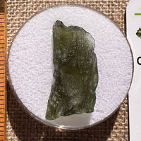 Moldavite 3.6 grams #2400-Moldavite Life