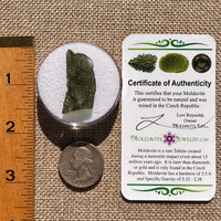 Moldavite 3.6 grams #2400-Moldavite Life