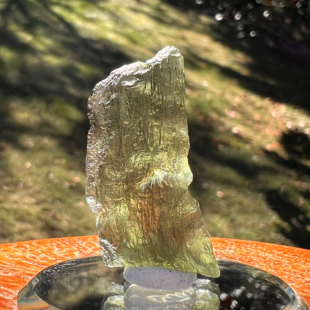Moldavite 3.6 grams #2400-Moldavite Life