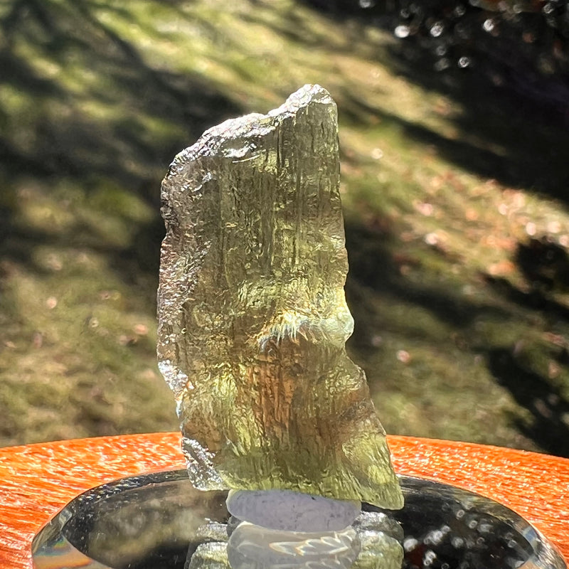 Moldavite 3.6 grams #2400-Moldavite Life