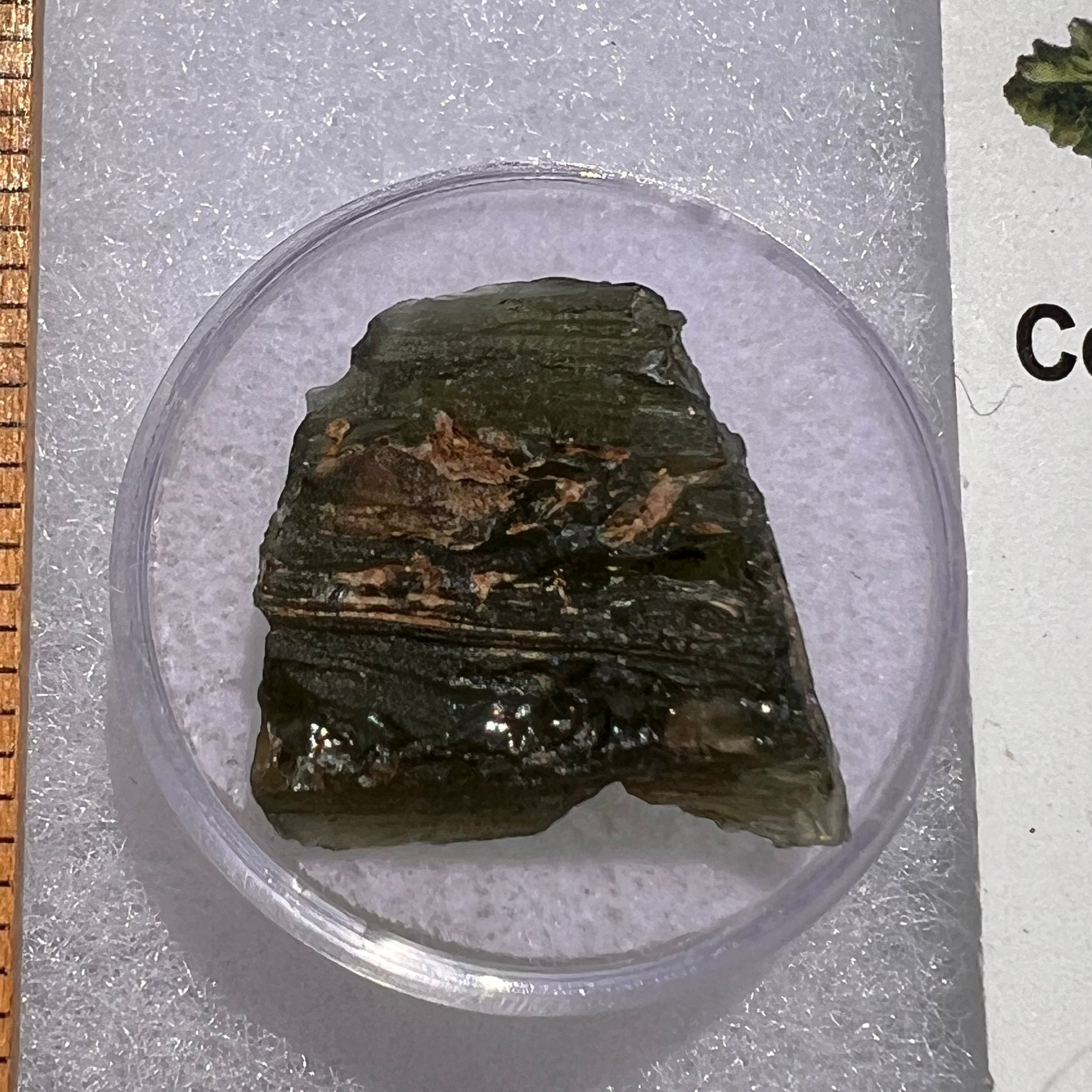 Moldavite 3.8 grams #1872-Moldavite Life