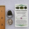 Moldavite 3.8 grams #1872-Moldavite Life