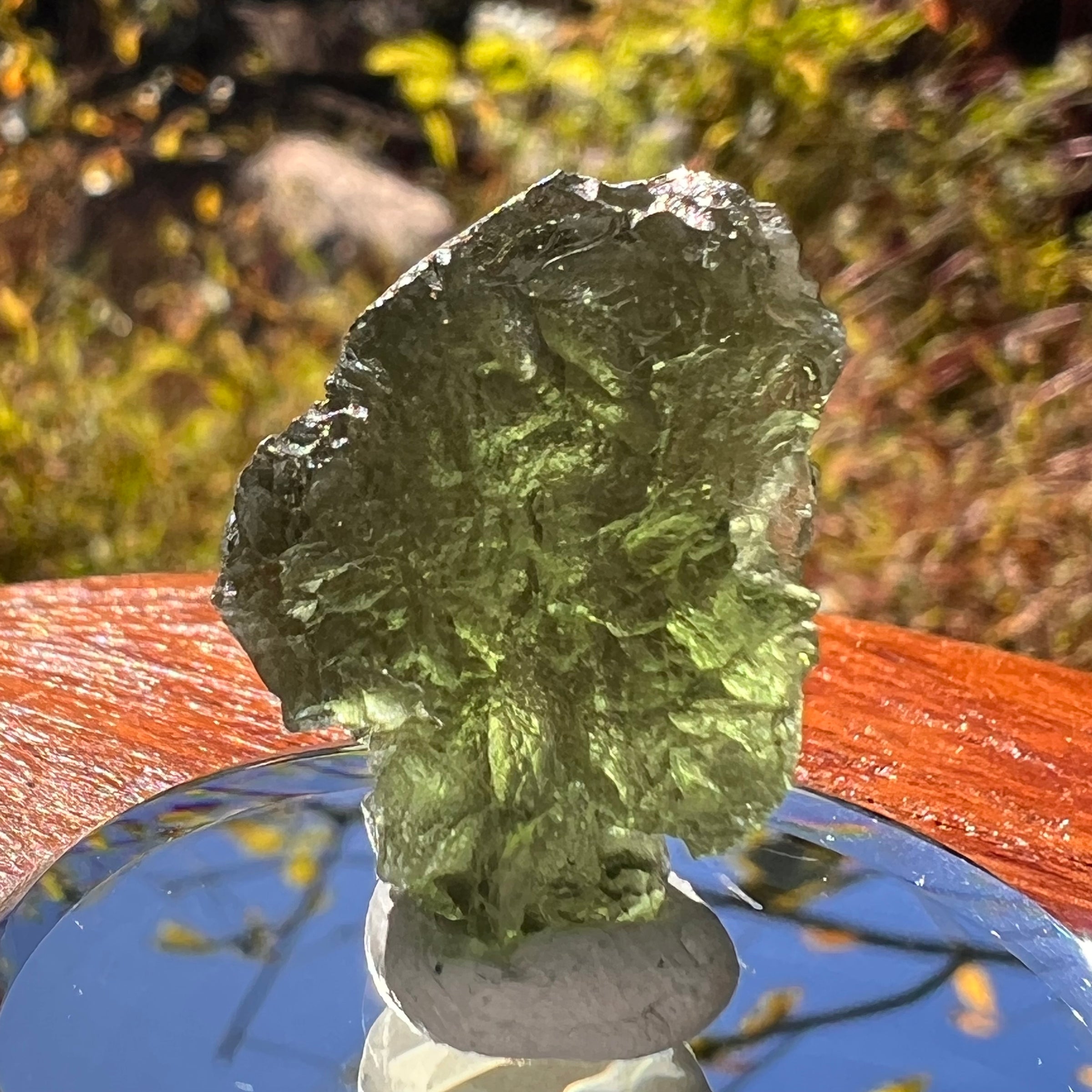 Moldavite 3.8 grams #2309-Moldavite Life