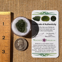 Moldavite 3.8 grams #2309-Moldavite Life