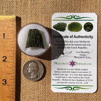Moldavite 3.8 grams #2314-Moldavite Life