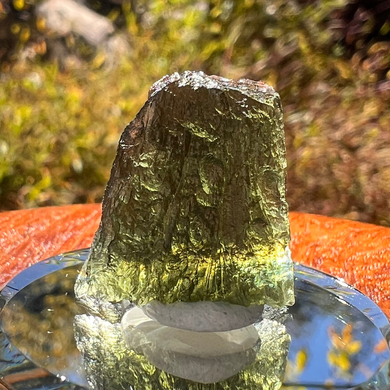 Moldavite 3.8 grams #2314-Moldavite Life