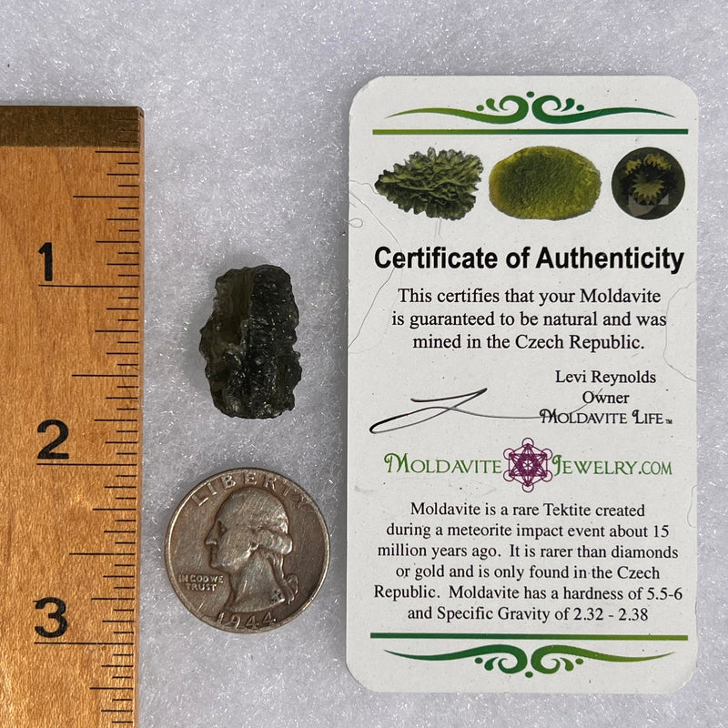 Moldavite 3.9 grams #1747-Moldavite Life