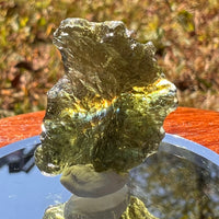 Moldavite 3.9 grams #1750-Moldavite Life