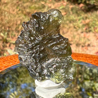 Moldavite 3.9 grams #1750-Moldavite Life